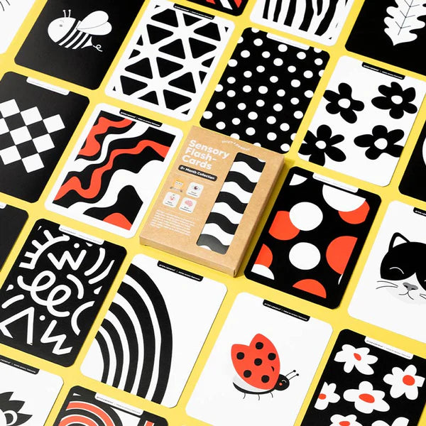 Cartes sensorielles pour nouveau-nés de 0 mois et plus