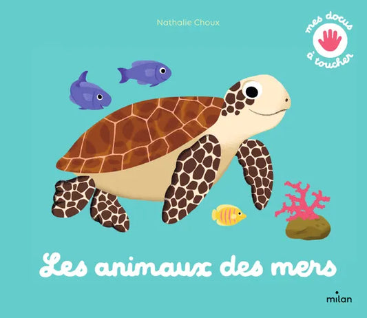 Mes docs à toucher les animaux de la mer