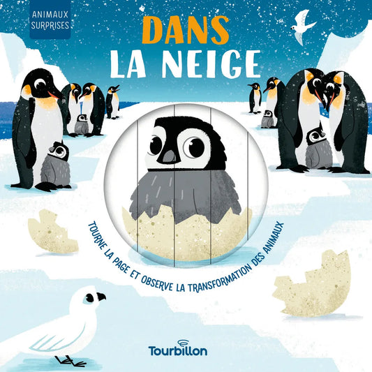 Livre - Dans la neige