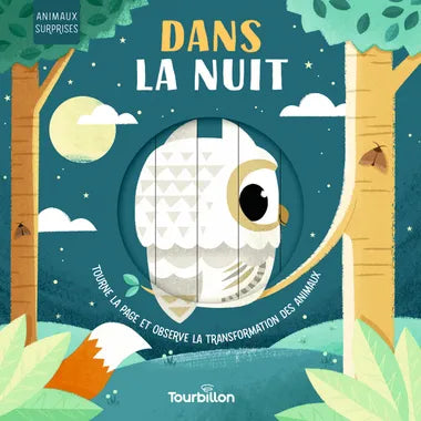 Livre - Dans la nuit