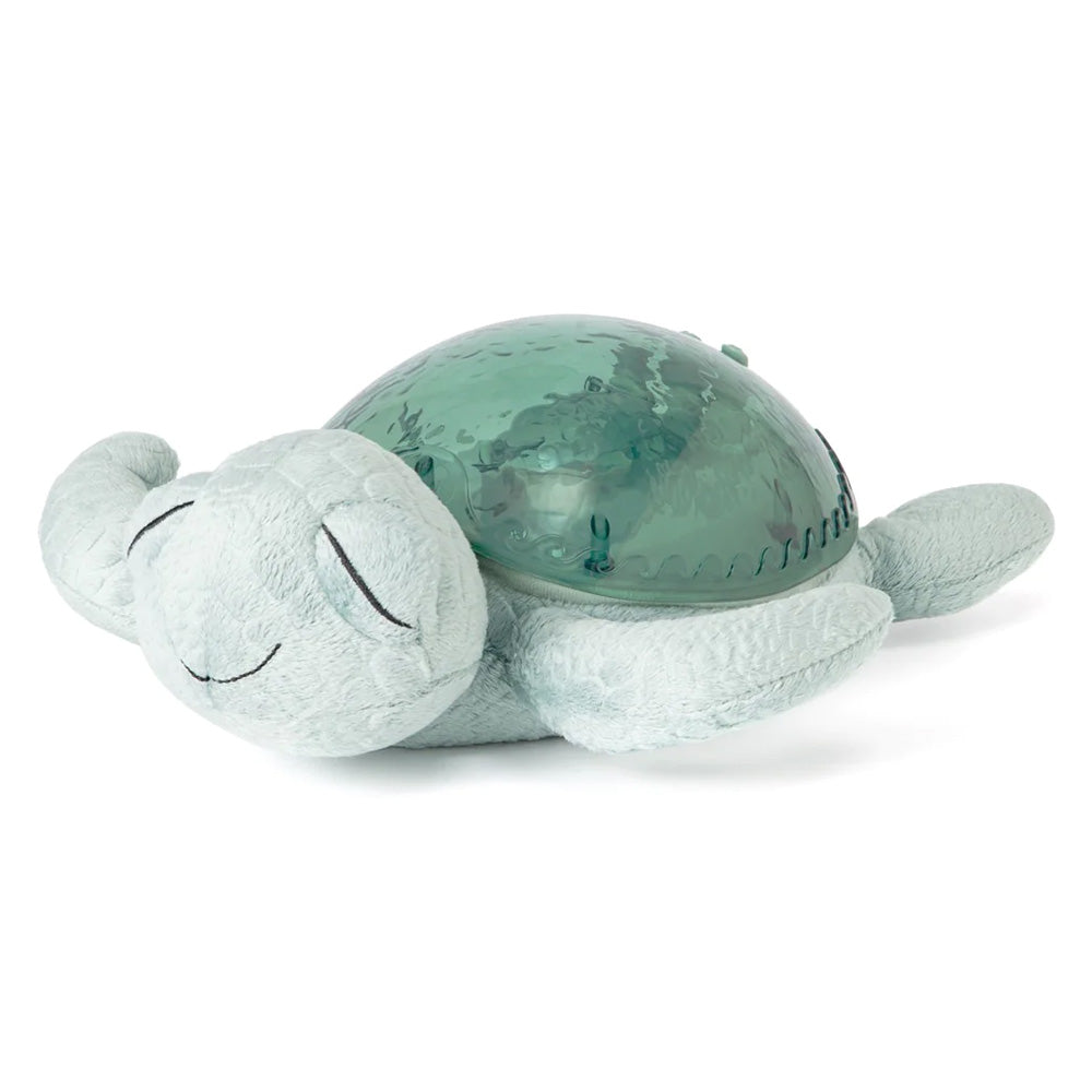 Cloud b - Tranquil Turtle