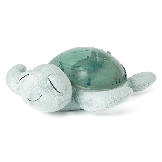 Cloud b - Tranquil Turtle