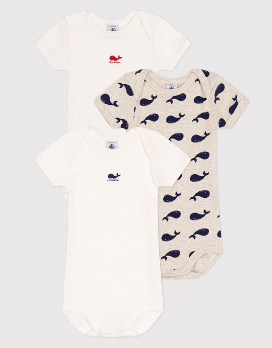Petit bateau | Lot de 3 bodies manches courtes baleines en coton
