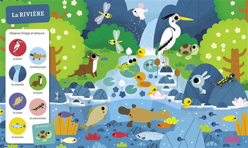 Auzou | Cherche et trouve des tout petits - tous a l'eau !