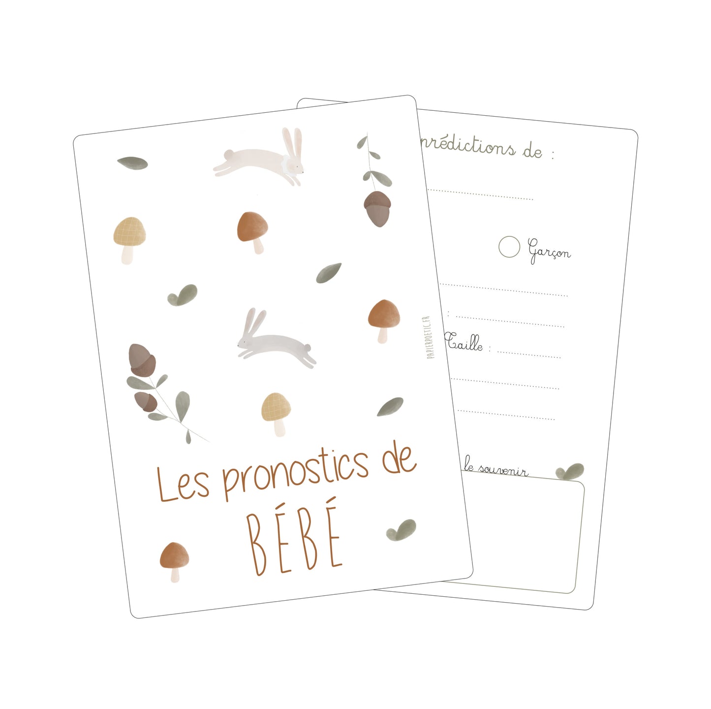 Lot 6 cartes pronostics bébé